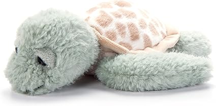 Shelldon Medium Turtle