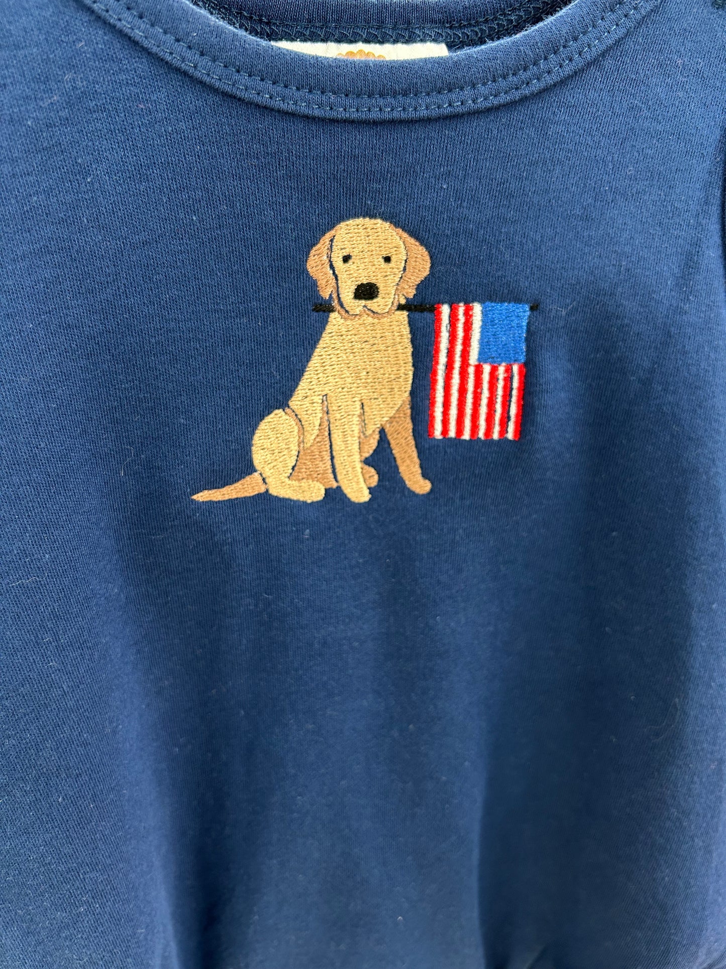 Sun Bubble | Navy Patriotic Puppy