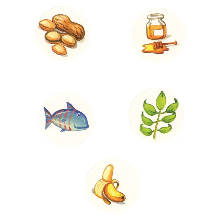 Board Book | Feed the Animals