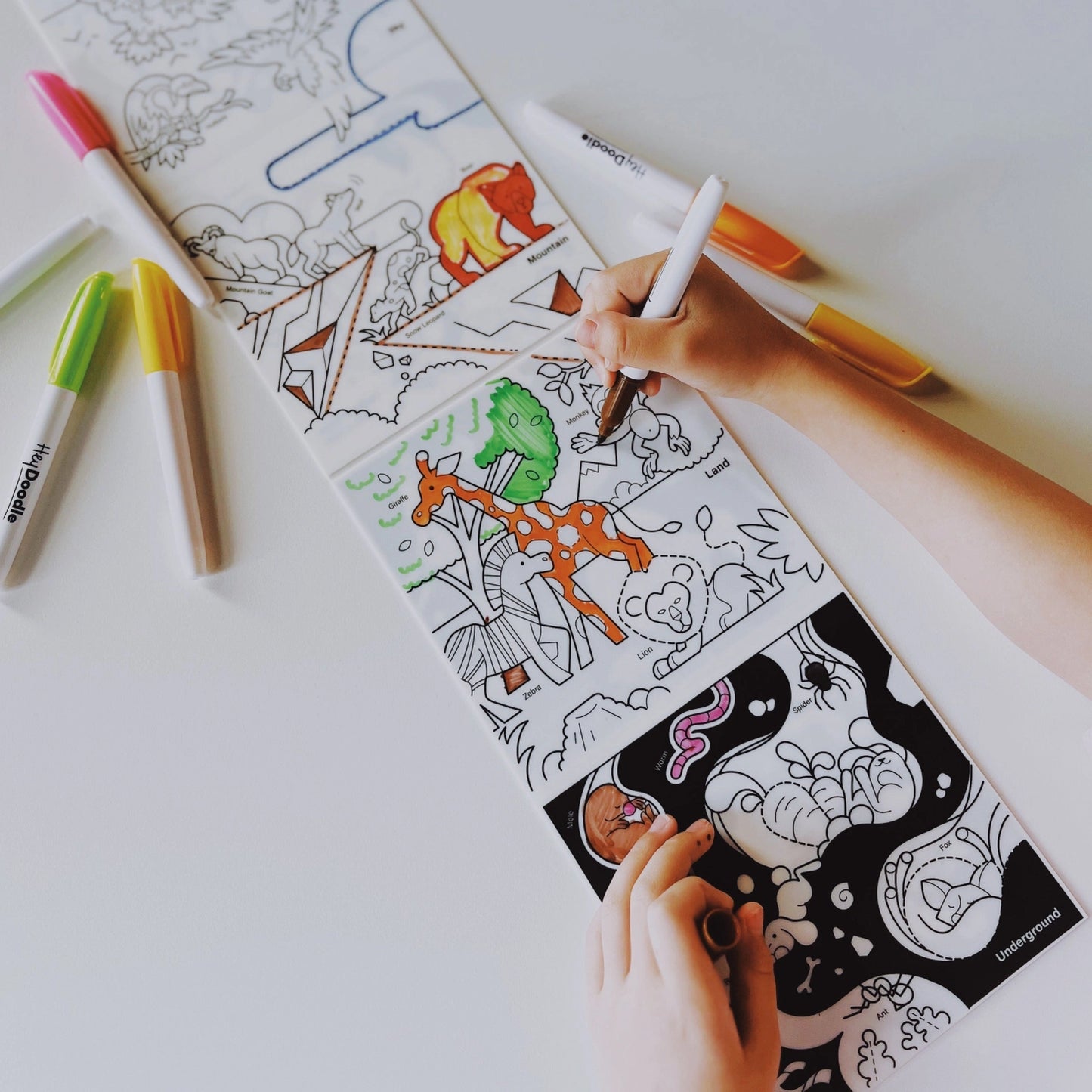 Habitats Above & Below Tales - Reusable Coloring Book