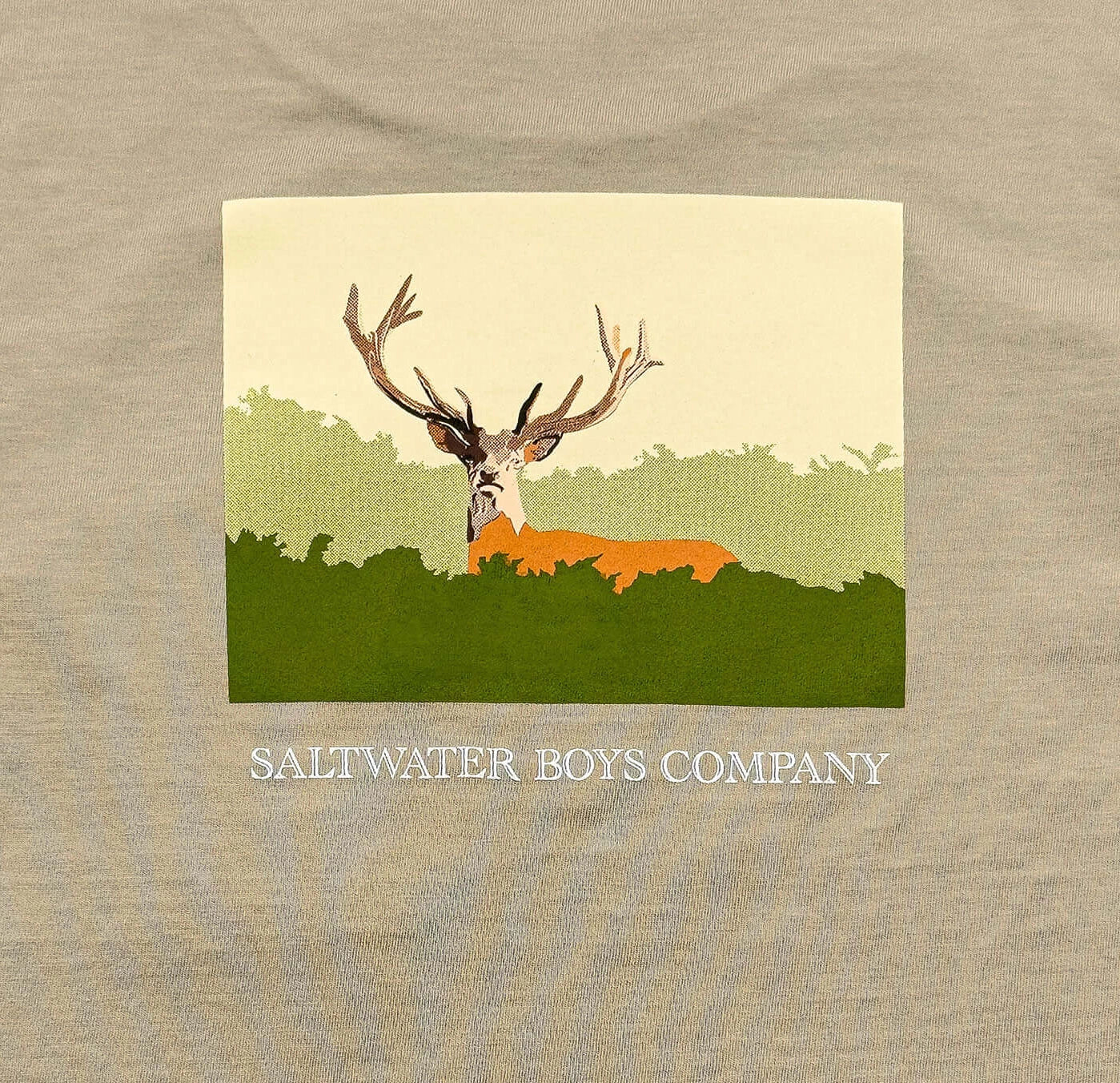 Deer Boys Graphic Tee Ss Taupe