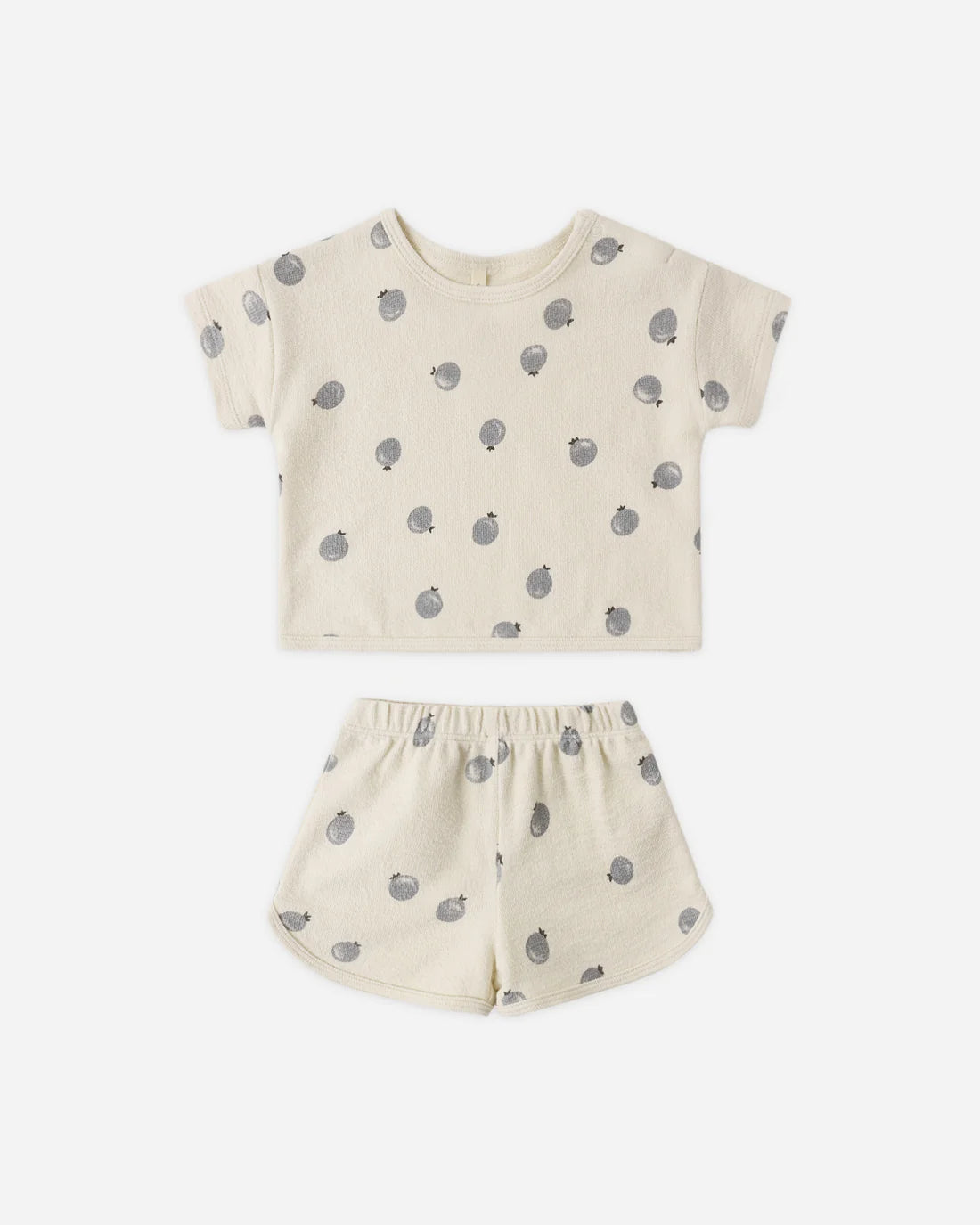 Spongy Play Set Blueberries
