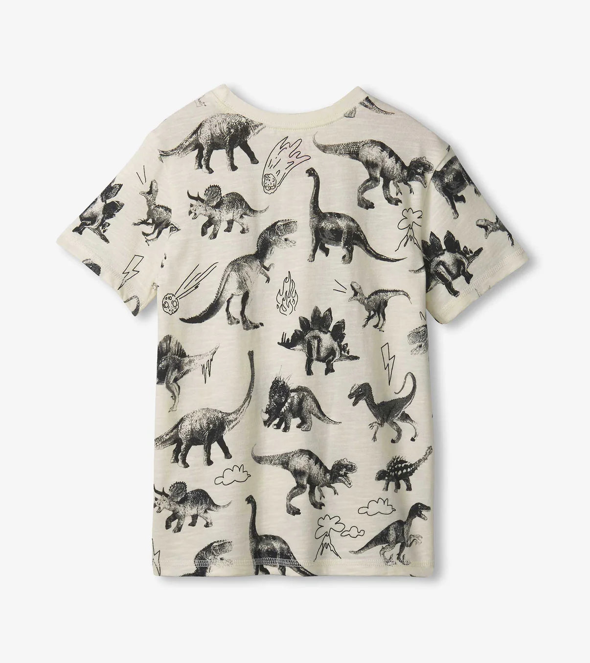 Graphic Tee | Dino Extinction