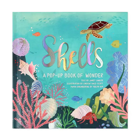 Pop-Up Book: Shells